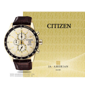 ساعت مچی مردانه سیتیزن AN3602-02A