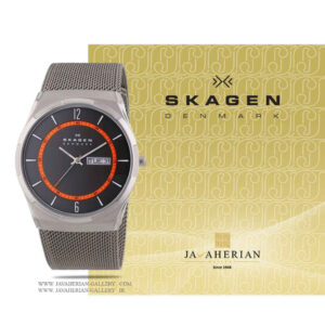 ساعت مردانه اسکاگن SKW6007