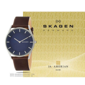 ساعت مردانه اسکاگن SKW6237