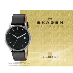 ساعت مردانه اسکاگن SKW6294