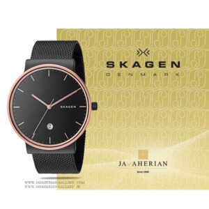 ساعت مردانه اسکاگن SKW6296