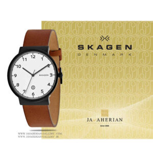 ساعت مردانه اسکاگن SKW6297