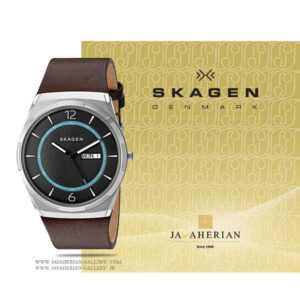 ساعت مردانه اسکاگن SKW6305