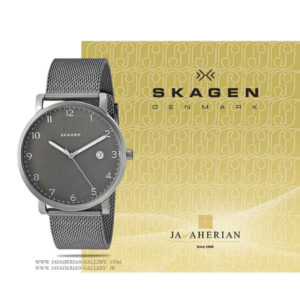 ساعت مردانه اسکاگن SKW6307