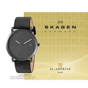 ساعت مردانه اسکاگن SKW6308