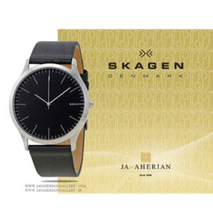 ساعت مردانه اسکاگن SKW6329