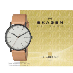 ساعت مردانه اسکاگن SKW6352