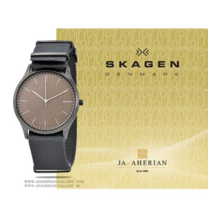 ساعت مردانه اسکاگن SKW6366