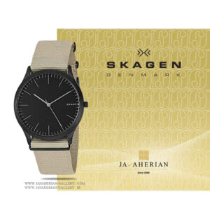 ساعت مردانه اسکاگن SKW6367