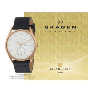 ساعت مردانه اسکاگن SKW6372