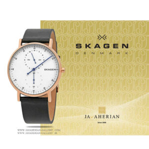 ساعت مردانه اسکاگن SKW6390