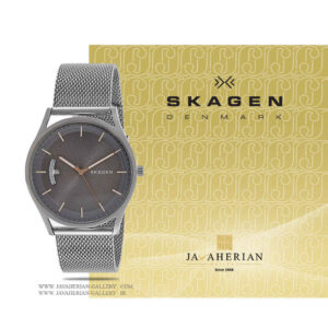 ساعت مردانه اسکاگن SKW6396