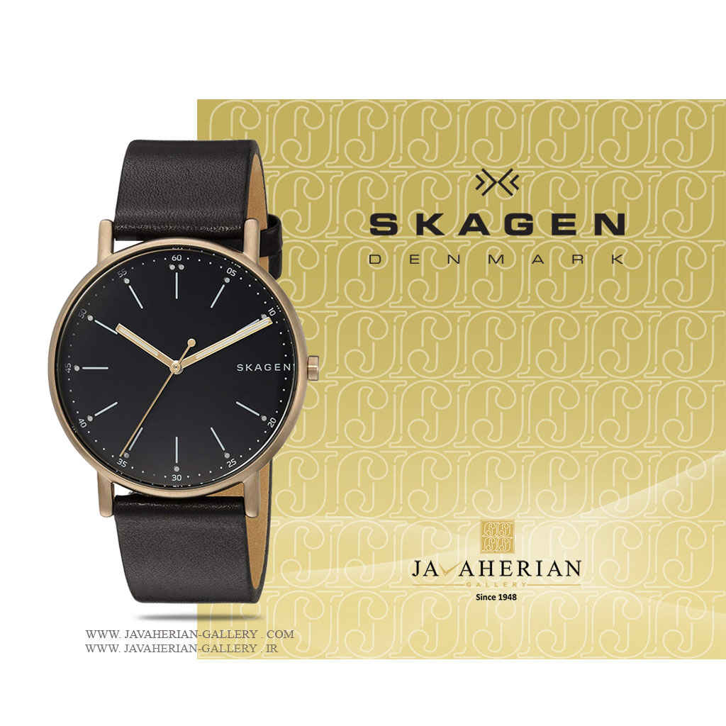 ساعت مردانه اسکاگن SKW6401 1 ساعت مردانه اسکاگن SKW6401
