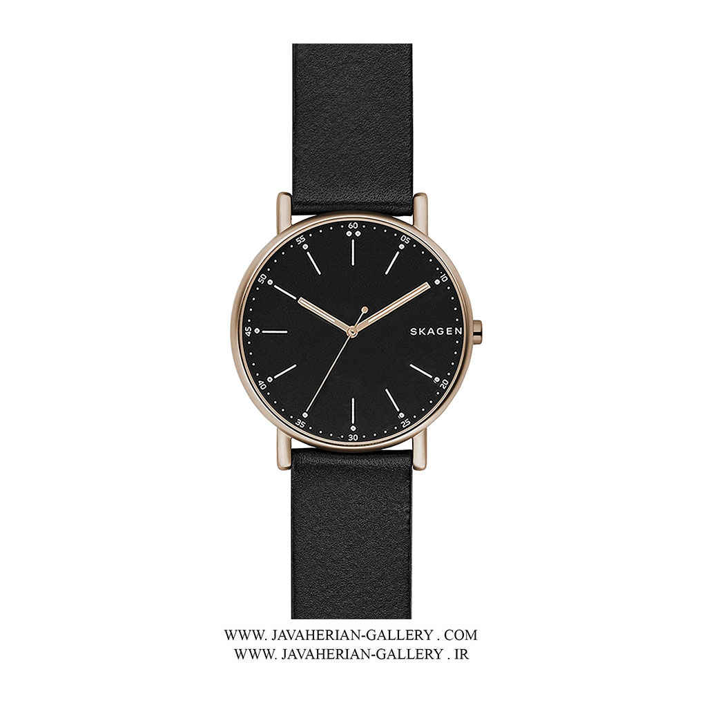 ساعت مردانه اسکاگن SKW6401 3 ساعت مردانه اسکاگن SKW6401 - Image 3