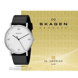 ساعت مردانه اسکاگن SKW6412