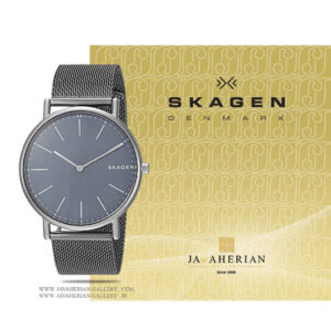 ساعت مردانه اسکاگن SKW6420