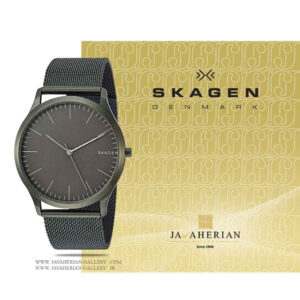ساعت مردانه اسکاگن SKW6425