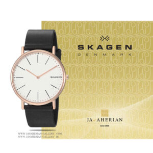 ساعت مردانه اسکاگن SKW6430