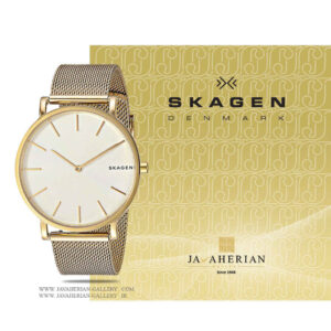 ساعت مردانه اسکاگن SKW6443