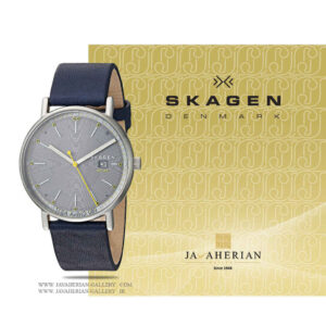 ساعت مردانه اسکاگن SKW6451