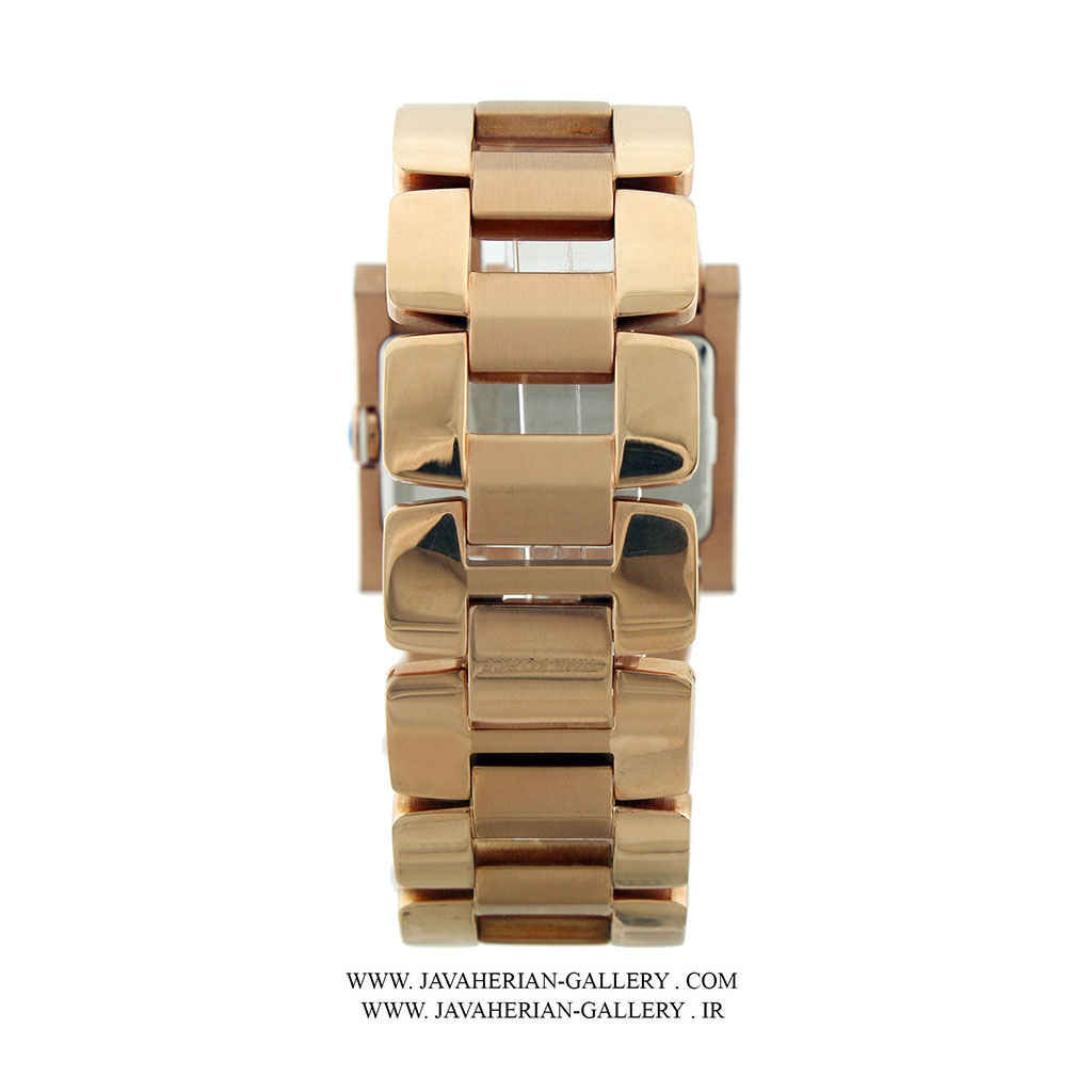 ساعت مچی زنانه تایم فورس TF4033L11M 3 ساعت مچی زنانه تایم فورس TF4033L11M - Image 3