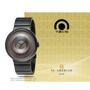 ساعت مردانه تکس TS1001B