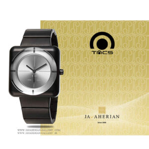 ساعت مردانه تکس TS1003C