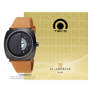 ساعت مردانه تکس TS1004B