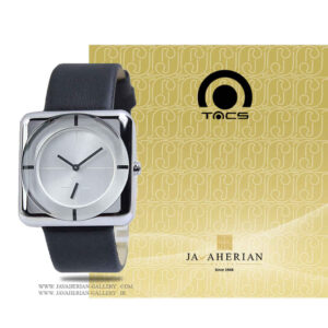 ساعت مردانه تکس TS1005A