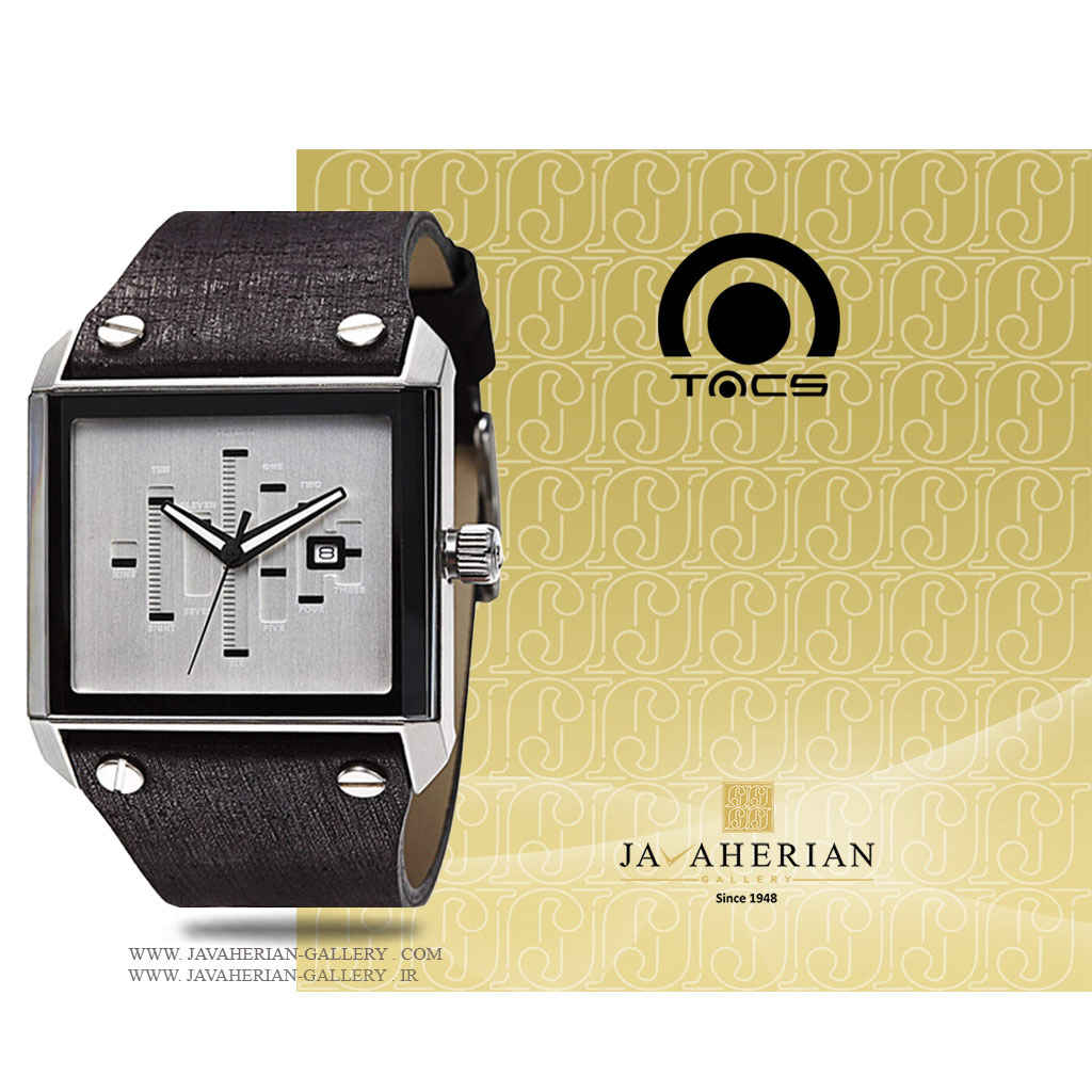 ساعت مردانه تکس TS1010A 1 ساعت مردانه تکس TS1010A