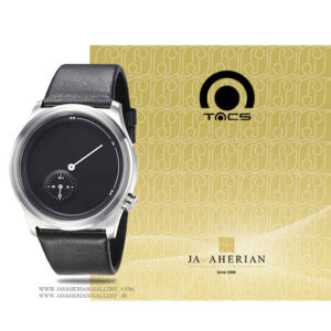 ساعت مردانه تکس TS1101A