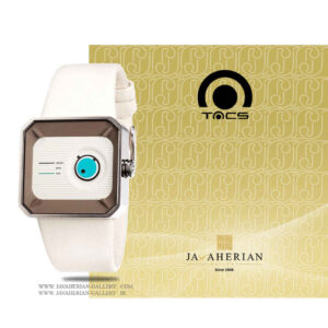 ساعت مردانه تکس TS1104B