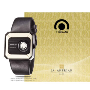 ساعت مردانه تکس TS1104C