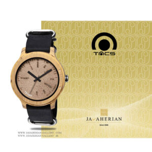 ساعت مردانه تکس TS1401B