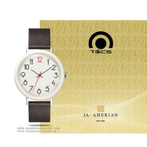 ساعت مچی تکس مردانه TS2001A