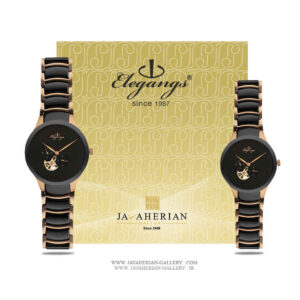ساعت مردانه الگنگس SA8117-703-set