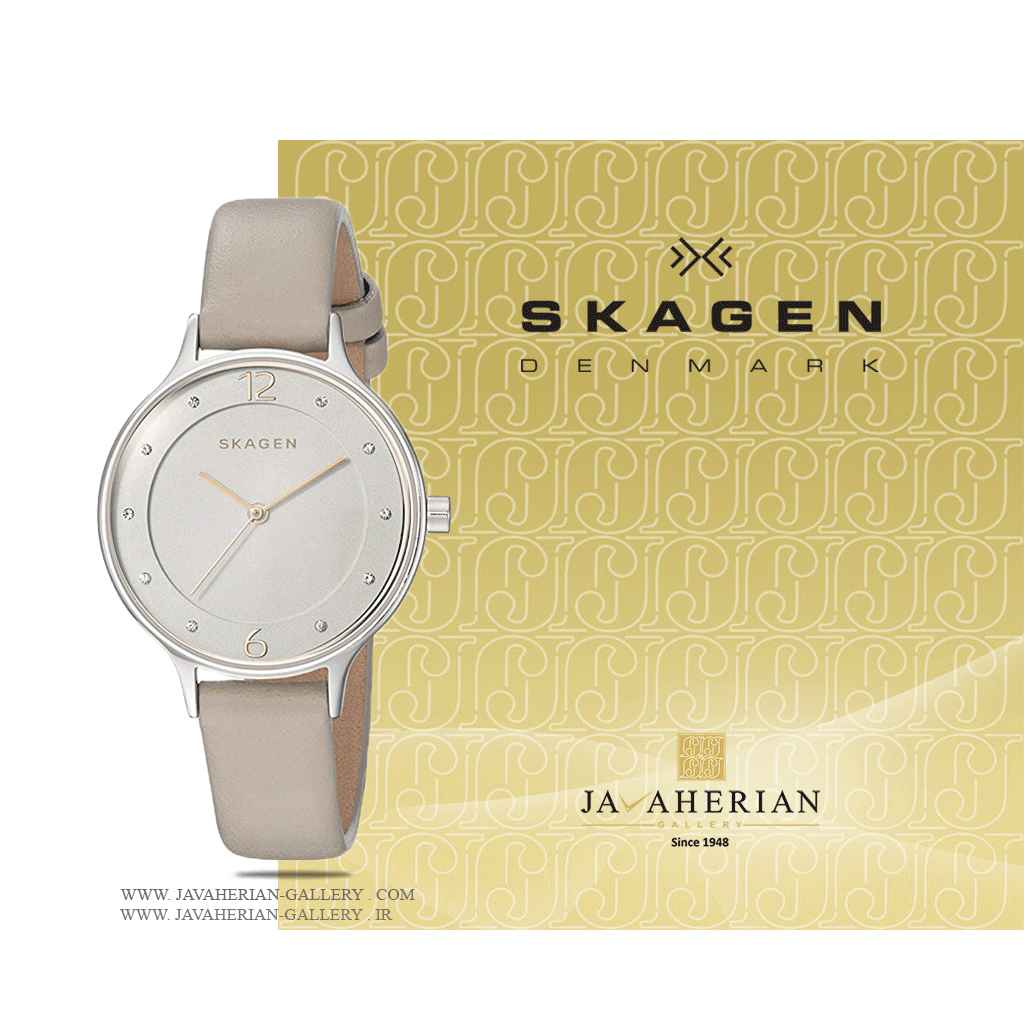 ساعت زنانه اسکاگن SKW1100 1 ساعت مچی زنانه اسکاگن SKW1100