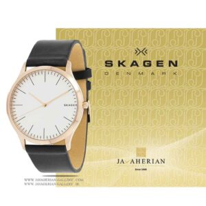 ساعت مچی مردانه اسکاگن SKW1102