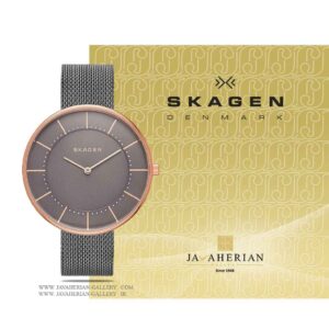 ساعت مچی زنانه اسکاگن SKW2584
