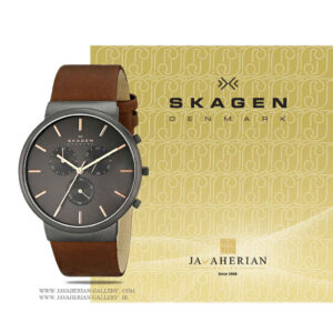 ساعت مچی مردانه اسکاگن SKW6106