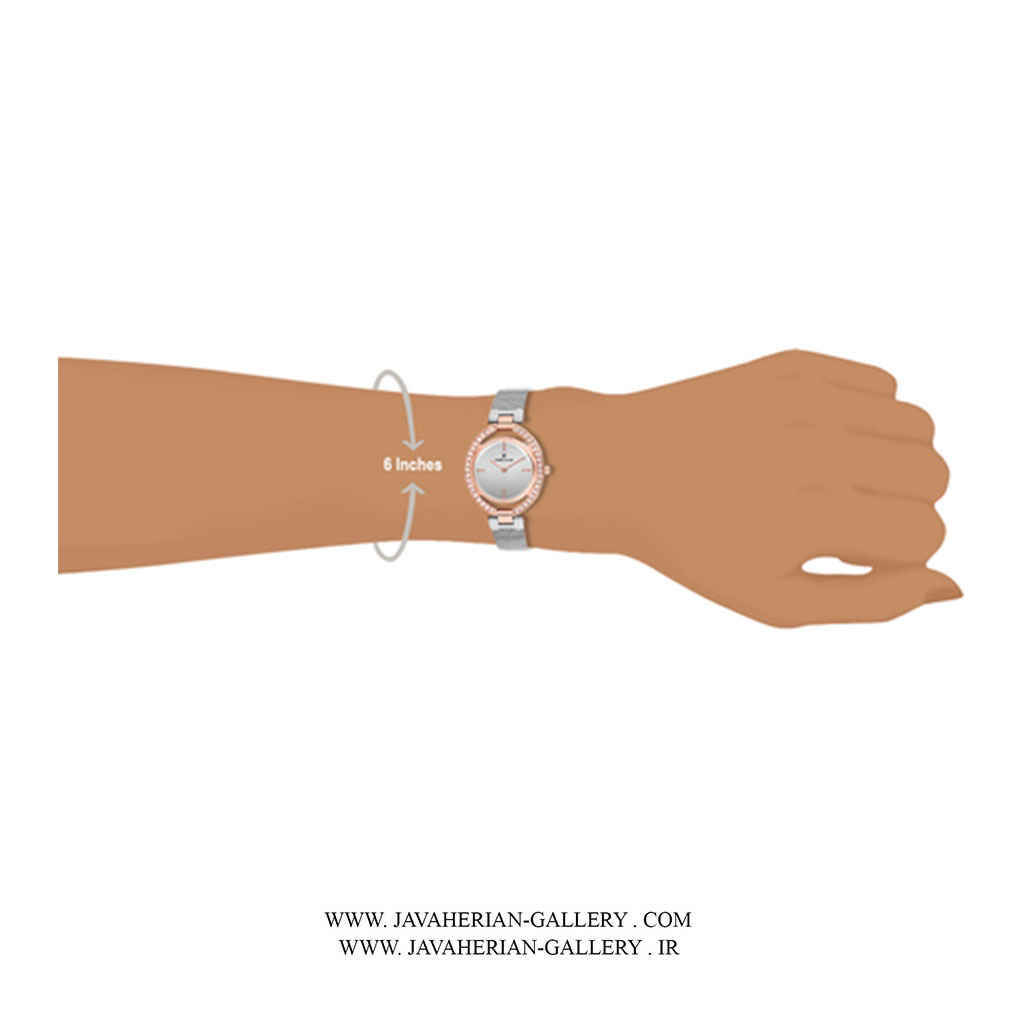 ساعت مچی زنانه دنیل کلین DK12194-4 