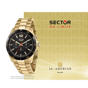 ساعت مچی مردانه سکتور Sector R3273631002 , R3273631002