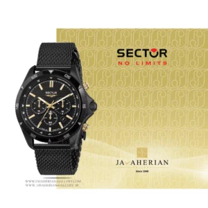 ساعت مچی مردانه سکتور Sector R3273631005 , R3273631005