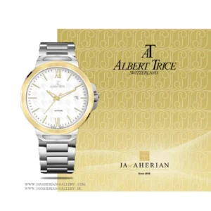 ساعت مردانه آلبرت ترایس Albert Trice AT20288-05HM , AT20288-05HM