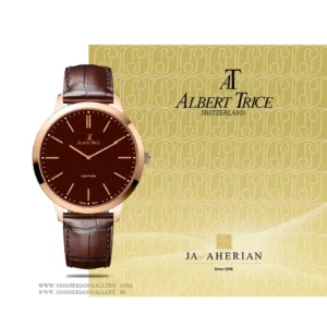 ساعت مردانه آلبرت ترایسAlbert Trice AT20294-03HM , AT20294-03HM