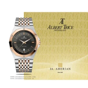ساعت مردانه آلبرت ترایس Albert Trice AT20319-06HM , AT20319-06HM