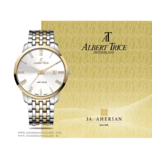 ساعت مردانه آلبرت ترایسAlbert Trice AT20335-04HM , AT20335-04HM