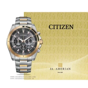 ساعت مردانه سیتیزن Citizen AN8204-59H