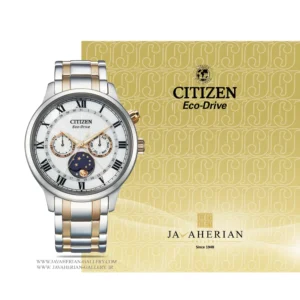 ساعت مردانه سیتیزن Citizen AP1054-80A