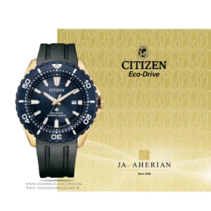 ساعت مردانه سیتیزن Citizen BN0196-01L